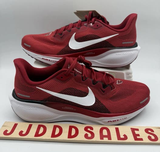 Nike Air Zoom Pegasus 41 NFL Arizona Cardinals Shoes FZ5077-600 Men’s Sz 12 New