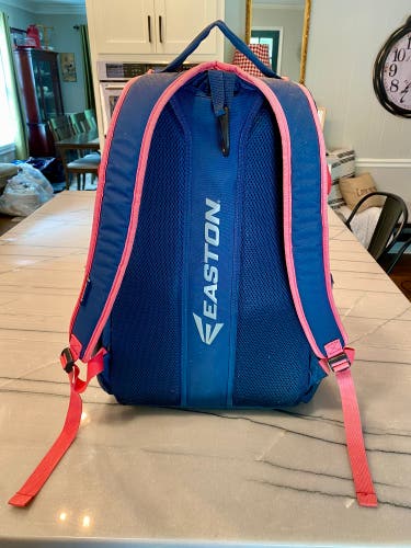 Easton Bat Pack (Used)
