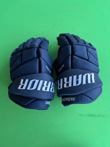 Blue Senior Warrior Alpha Pro Gloves 13" Pro Stock (Used)