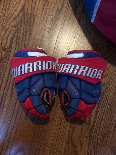 Warrior Gloves 11" (Used)