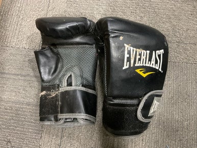 Used Everlast Boxing Gloves Black SM 11614-S000221443