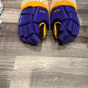 Warrior Gloves 10" (Used)
