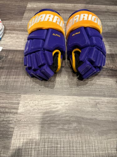 Warrior Gloves 10" (Used)