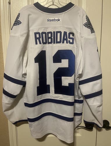 Stephane Robidas Toronto Maple Leafs 14/15 Set 1 Away Game Worn