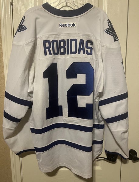 Stephane Robidas Toronto Maple Leafs 14/15 Set 1 Away Game Worn