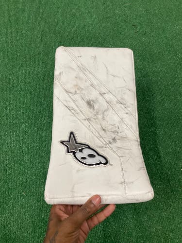 White Senior Brian's Eclipse Goalie Gloves & Blockers Regular (Used)