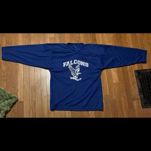 Blue Medium Men's Jersey (Used)