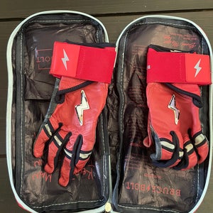 Batting Gloves (Used)