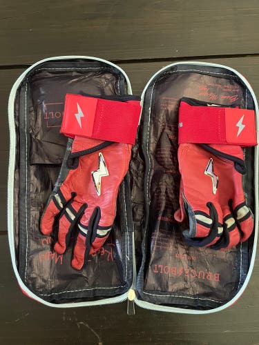 Batting Gloves (Used)
