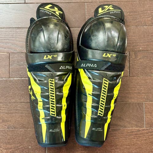 Warrior Alpha LX 40 Shin Pads 13” (Used)