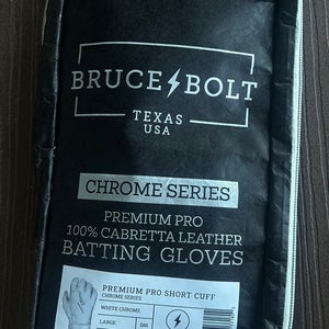 Large Batting Gloves (Used)