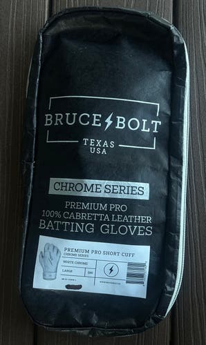 Large Batting Gloves (Used)