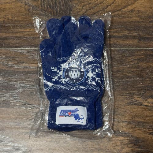 Worcester Railers ECHL Hockey Team Blue Winter Holiday Team Adult Mittens Gloves