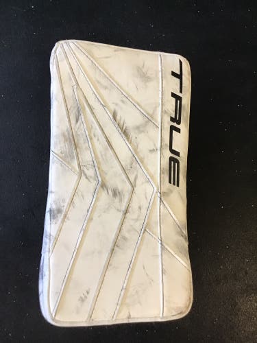 True hockey goalie