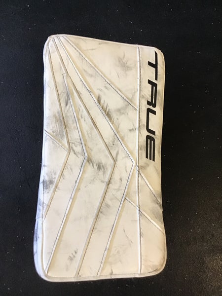 True hockey goalie