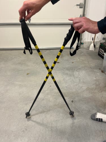 40in (100cm) Swix GS All Mountain Ski Poles (Used)