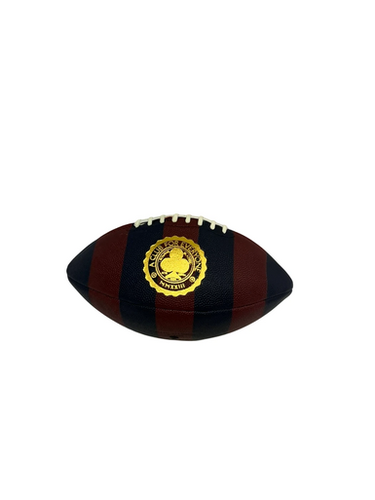 Used Official Football 11692-S000141353