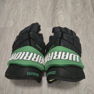 Warrior Alpha Pro Gloves 15" Pro Stock (Used)