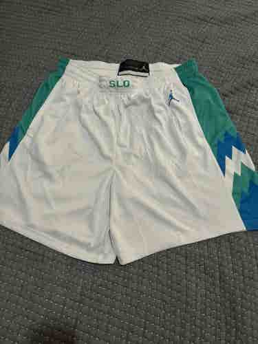 Jordan Swingman Slovenia Basketball Shorts, Size Adult 3XL