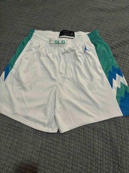 Jordan Swingman Slovenia Basketball Shorts, Size Adult 3XL