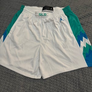 Jordan Swingman Slovenia Basketball Shorts Adult 3XL New with Tags