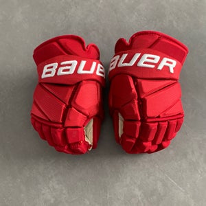 Detroit Red Wings Pro Stock 13” 2X Hockey Gloves (Used)