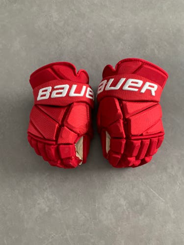 Detroit Red Wings Pro Stock 13” 2X Hockey Gloves (Used)