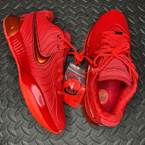 Nike LeBron 21 “James Gang” Basketball Shoes Size 10