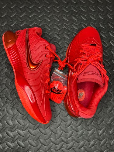 Nike LeBron 21 “James Gang” Basketball Shoes Size 10