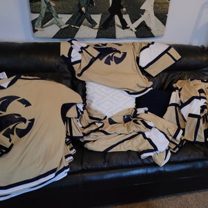 Bird Logo Hockey Jerseys Team Set