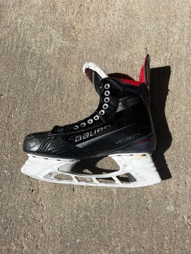 2023 Bauer Vapor X Velocity Hockey Skates Regular Width 11 (Used)
