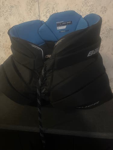 Senior Large Bauer GSX Hockey Goalie Pants (Used)