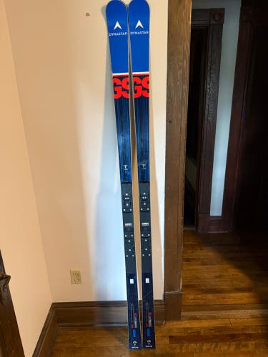 2023 Dynastar Speed WC FIS GS 193 cm Racing Skis (Used) Without Bindings