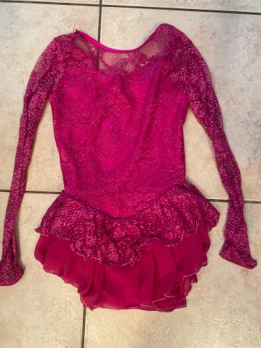Girls size 12/14 Pink L/S skating or dance dress costume. Brand is Jerry’s