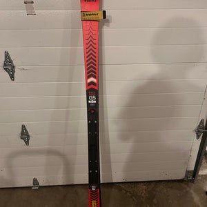 Volkl Racetiger GS 161 cm Skis Without Bindings (Used)