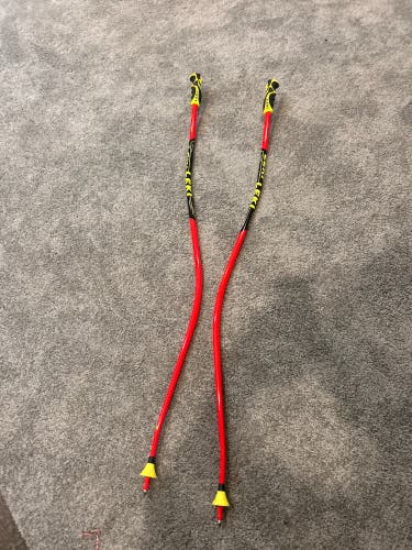 54in (135cm) Leki SG or DH Ski Poles (Used)