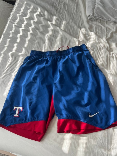Blue Large Nike Shorts (Used)