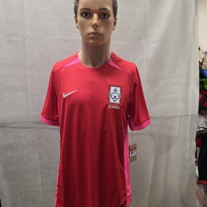NWT South Korea Womens National Team Soccer Jersey 2023 Womens World Cup L Nike