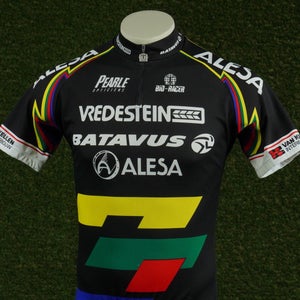 MENS LARGE BIO RACER CYCLING JERSEY VERDESTEIN BATAVUS ALESA 1/4 ZIP, VGC