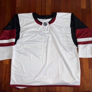 Arizona Coyotes Blank Hockey Monkey GC Goalie Cut Blank No Logo Jersey Worn Once