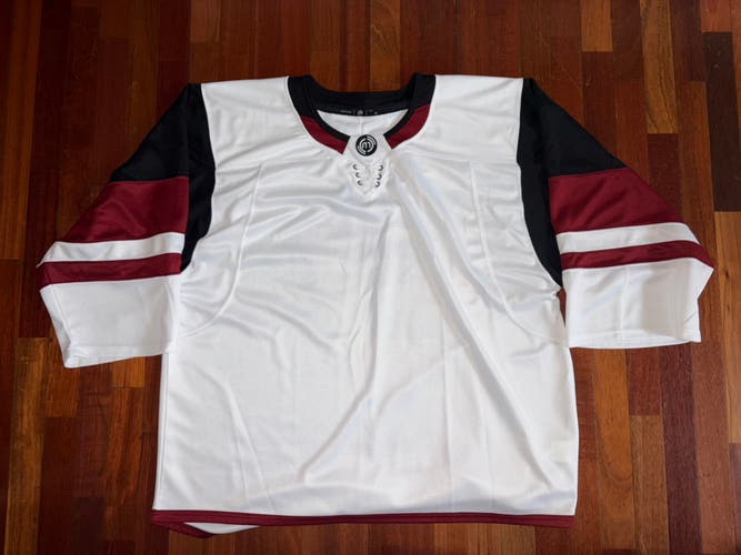 Arizona Coyotes Blank Hockey Monkey GC Goalie Cut Blank No Logo Jersey Worn Once
