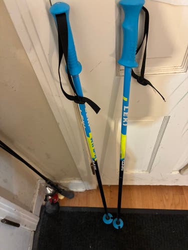 40in (100cm) Leki RIDER Alpine Ski Poles (Gently Used)