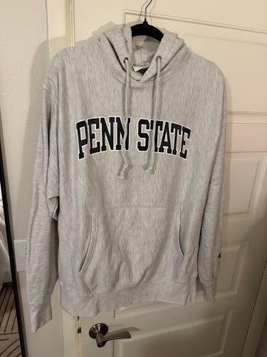 Gray Adult Unisex Large Champion Sweatshirt (Used)