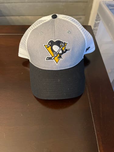 (New)Pittsburgh Penguins Hat