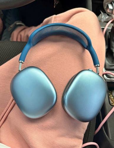Apple Headphones (Used)