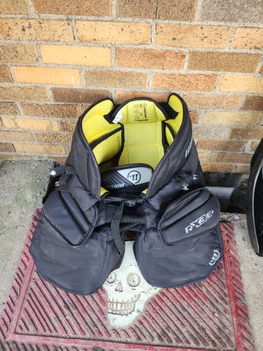 Intermediate L/XL Warrior Ritual x3 E+ Hockey Goalie Pants (Used)