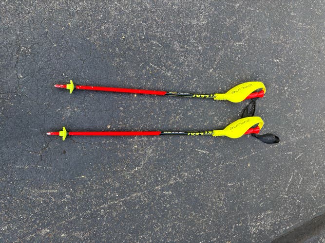 38in (95cm) Leki Racing World Cup Lite SL Ski Poles (Used)