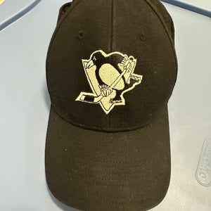 Pittsburgh Penguins Flex Hat (One Size Fits All)