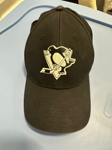Pittsburgh Penguins Flex Hat (One Size Fits All)