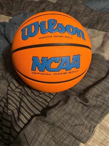 Men's Wilson Basketball (New)